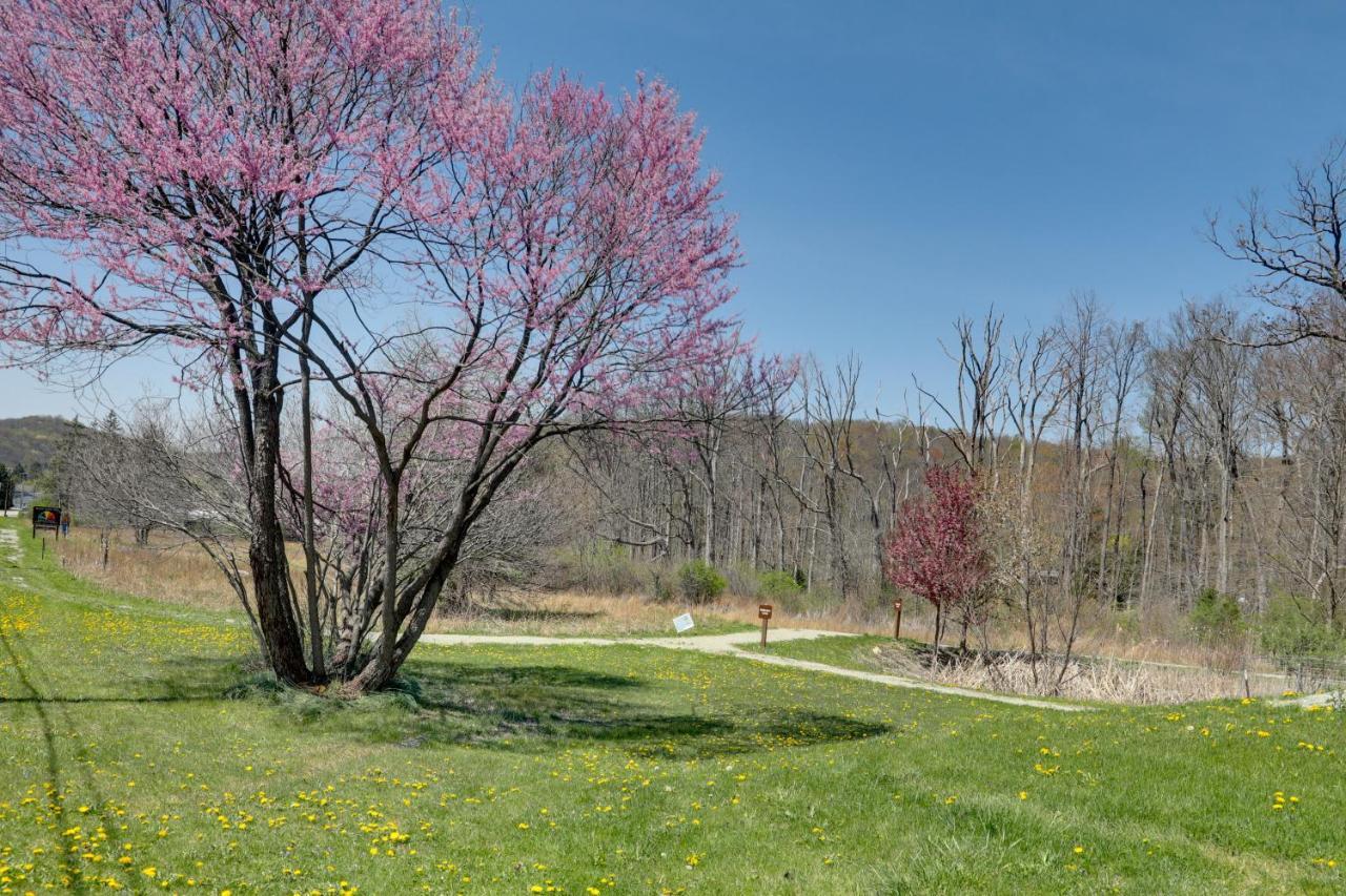 Pet-Friendly Pennsylvania Vacation Rental With Pool! Laughlintown Екстер'єр фото